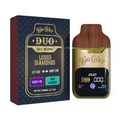 BIG CHIEF DUO ALL IN ONE BERRY PIE x BLUE GUSHERS 2G DISPOSABLE