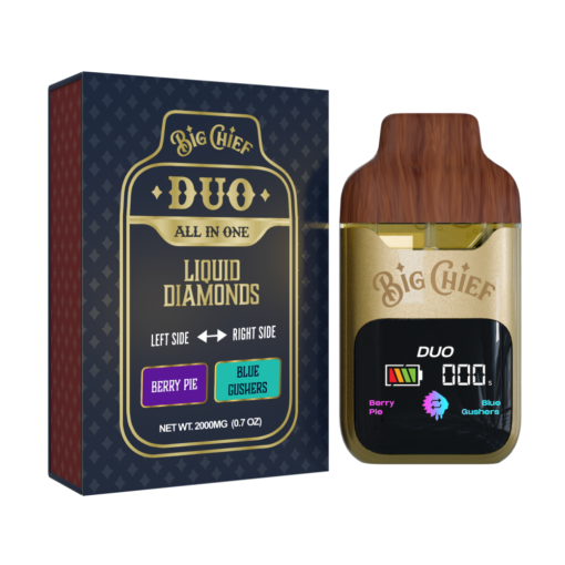 BIG CHIEF DUO ALL IN ONE BERRY PIE x BLUE GUSHERS 2G DISPOSABLE