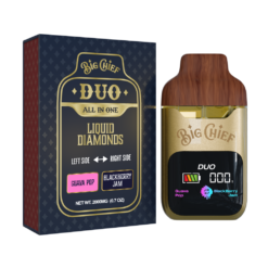 BIG CHIEF DUO ALL IN ONE GUAVA POP x BLACKBERRY JAM 2G DISPOSABLE