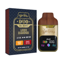 BIG CHIEF DUO ALL IN ONE MANGO TANGO x CHERRY FRITTER 2G DISPOSABLE