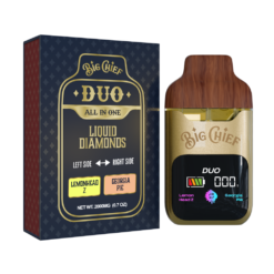 BIG CHIEF DUO ALL IN ONE LEMONHEAD Z x GEORGIA PIE 2G DISPOSABLE