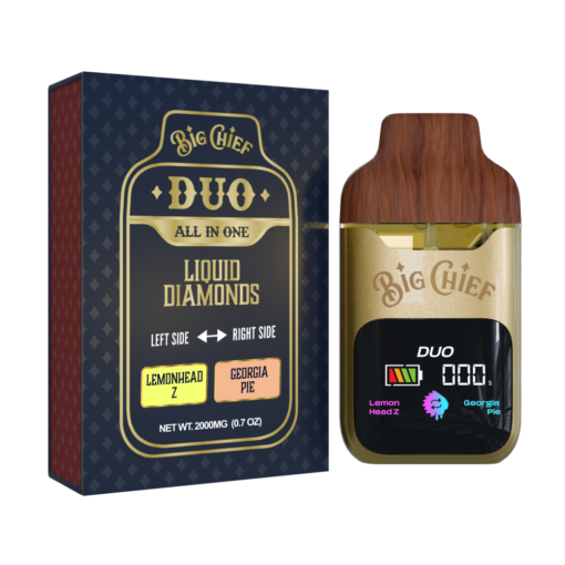 BIG CHIEF DUO ALL IN ONE LEMONHEAD Z x GEORGIA PIE 2G DISPOSABLE