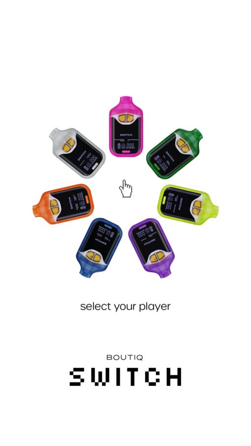 BOUTIQ SWITCH V4