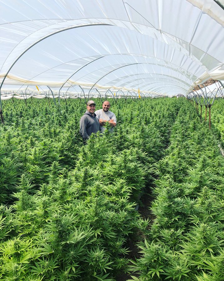 WEEDMAPS DISPENSARY